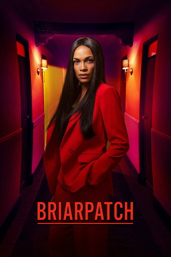 Regarder Briarpatch en streaming complet