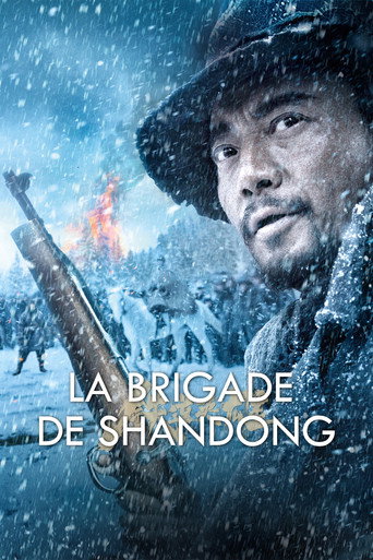Regarder La Brigade de Shandong en streaming complet