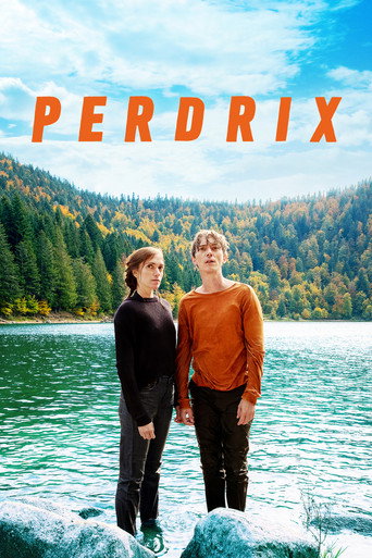 Regarder Perdrix en streaming complet